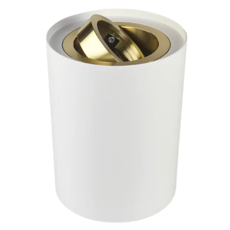 Oprawy-sufitowe - 04239 biało złota tuba oprawa sufitowa hary c gu10  ideus 