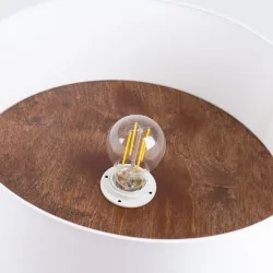 Lampy-sufitowe - plafon telesto biały/ciemny brąz sollux sl.1392 