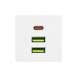 Rozgalezniki - rozgałęźnik dwa gniazda typu schuko z usb biała złodziejka modi 