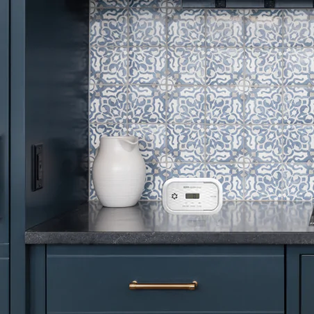 Czujniki-czadu - czujnik czadu na baterie czujka tlenku węgla do domu a21a455 eura 