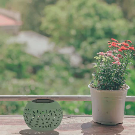 Lampy-solarne - lampka ogrodowa latarenka solarna zielona herbi 04731 ideus 