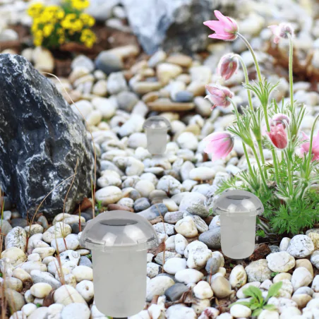 Lampy-solarne - lampka solarna do ogrodu wbijana w ziemię z kolorowym światłem rgb momo polux- 1szt. 