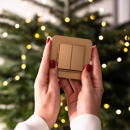 Wylaczniki-podwojne - złoty włącznik do światła podwójny 29mwp-2 mini karlik 