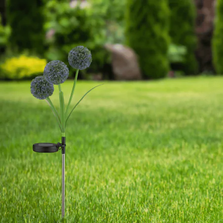 Lampy-solarne - lampka solarna wbijana led z motywem dmuchawców zimne światło allium 329509 polux-goldlux 