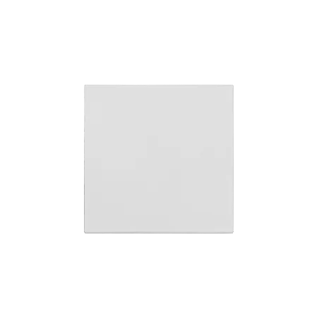 Klawisze - klawisz pojedynczy do włączników i przycisków do mechanizmów sw1m, sw6m, sw7m, sp1m  serii kontakt-simon 55 tkw1/114 jasnoszary 