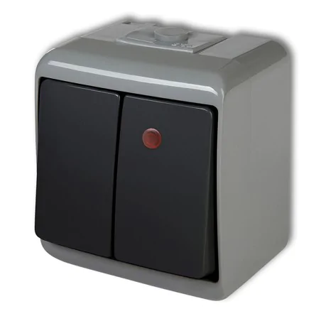 Wylaczniki-podwojne - włącznik podwójny natynkowy hermetyczny popielaty/grafitowy z podświetleniem 30whe-2l junior karlik 