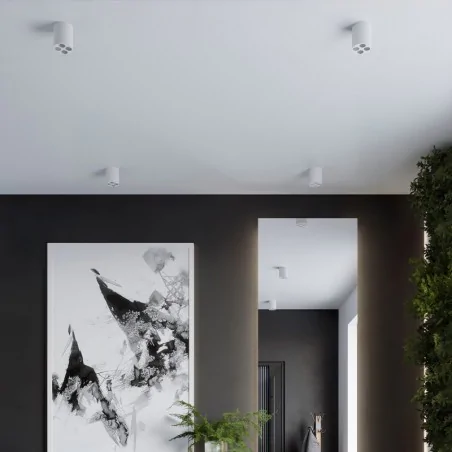 Oswietlenie-sufitowe - plafon zoe  tuba sufitowa ledowa 9w lampa natynkowa biała sollux sl.1209 