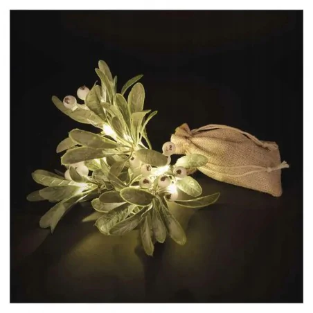 Dekoracje-swiateczne-led - dekoracja świąteczna świecąca gałązka jemioła led na baterie emos dctw29 