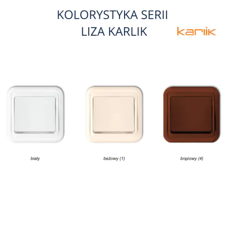 Gniazda-podwojne-podtynkowe - brązowe gniazdo podwójne z uziemieniem czeskie z ramką 4gpd-2z liza karlik 