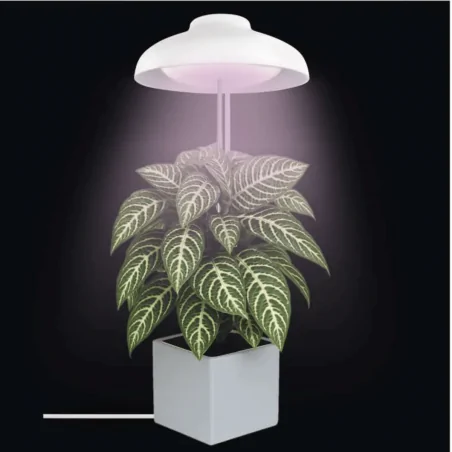 Oswietlenie - lampa wspomagająca uprawę roślin oświetlenie do wzrostu sadzonek 5w z wyłącznikiem czasowym grow emos 