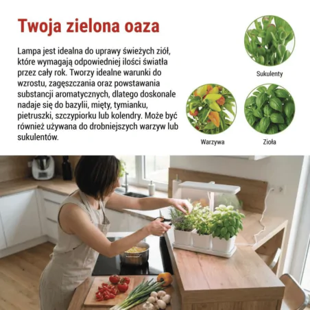 Oswietlenie - lampa led do uprawy roślin z możliwością ściemniania oświetlenie wspomagające wzrost sadzonek z doniczkami grow emos 