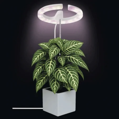 Oswietlenie - lampa led wspomagająca rozwój roślin z możliwością ściemniania z timerem grow emos 