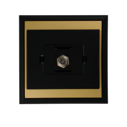 Czarno-złote gniazdo...