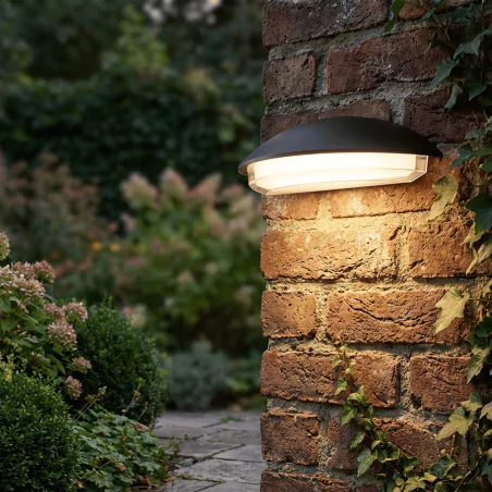 Kinkiety-ogrodowe - elewacyjny kinkiet led zaokrąglony czarny lampa zewnętrzna 12w neutralna alabama polux/goldlux 