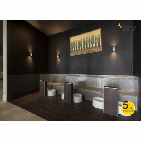 Kinkiety-zewnetrzne - kinkiet zewnętrzny led biały helia 2x6w 3000k slv 