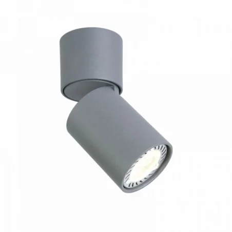 Oprawy-sufitowe - oprawa sufitowa cleo 1c-gr spot 1-50w szara ozzo 