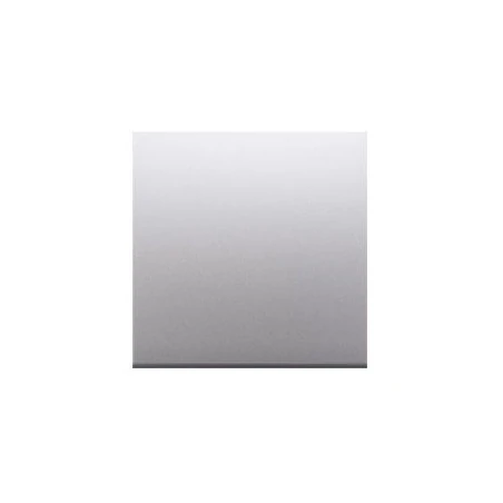 Klawisze - klawisz pojedynczy do łączników i przycisków srebrny mat dkw1/43 simon 54 kontakt-simon 