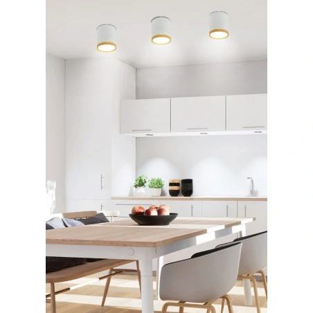 Oprawy-sufitowe - sufitowa oprawa tuba biała z drewnianym paskiem neutralne światło 4000k 5w 2273624 candellux 