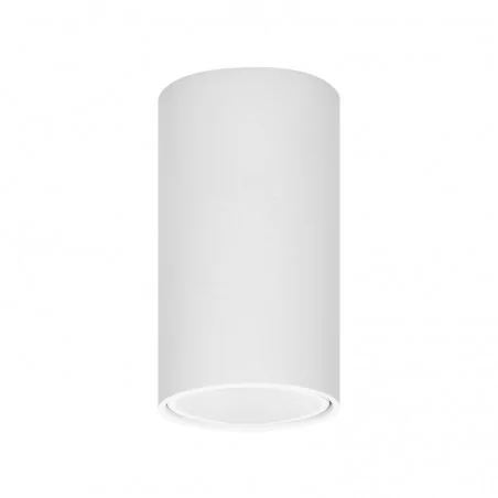 Oprawy-sufitowe - punktowa oprawa natynkowa sufitowa biała tuba barbra dlr or-od-6141wgu10 orno 