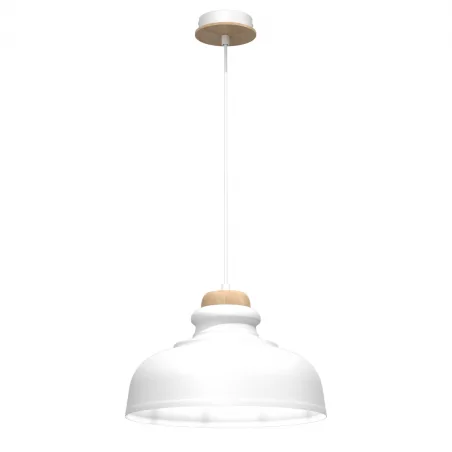 Lampy-sufitowe - metalowa lampa wisząca 50-90cm 1xe27 asmund mlp8292 eko-light 