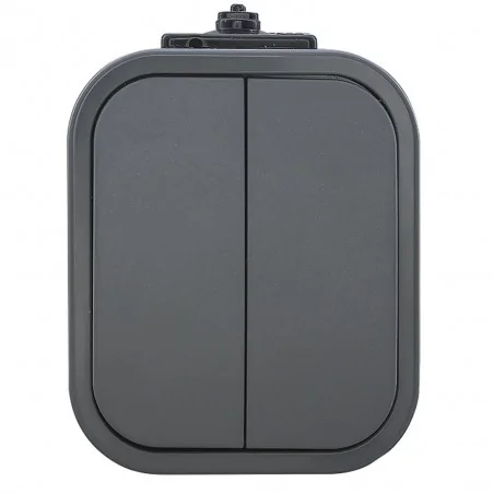 Wylaczniki-podwojne - włącznik podwójny natynkowy szary b2 wnt-2b2 9001570 abex 