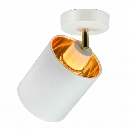 Lampy-sufitowe - oprawa ścienno-sufitowa ruchoma 1x60w e27 bati ad-ld-6269we27m orno 