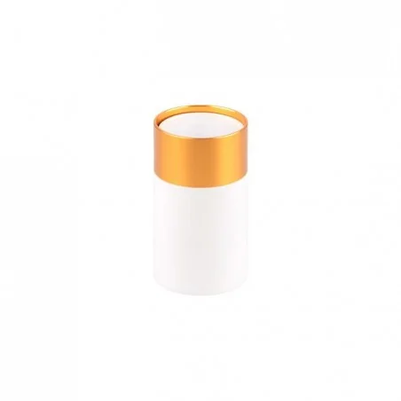 Oprawy-sufitowe-stale - biało-złota oprawa natynkowa gu10 klemens 1618 lvt 