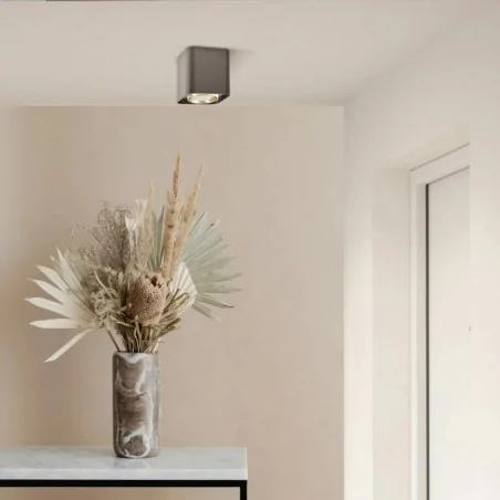 Oprawy-sufitowe - oprawa sufitowa natynkowa czarna ze złotym pierścieniem gu10 xeno 325396 polux-goldlux 