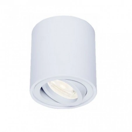 Strona-glowna - oprawa tuba natynkowa biała lampa sufitowa ozzo ada1 212-w/w 