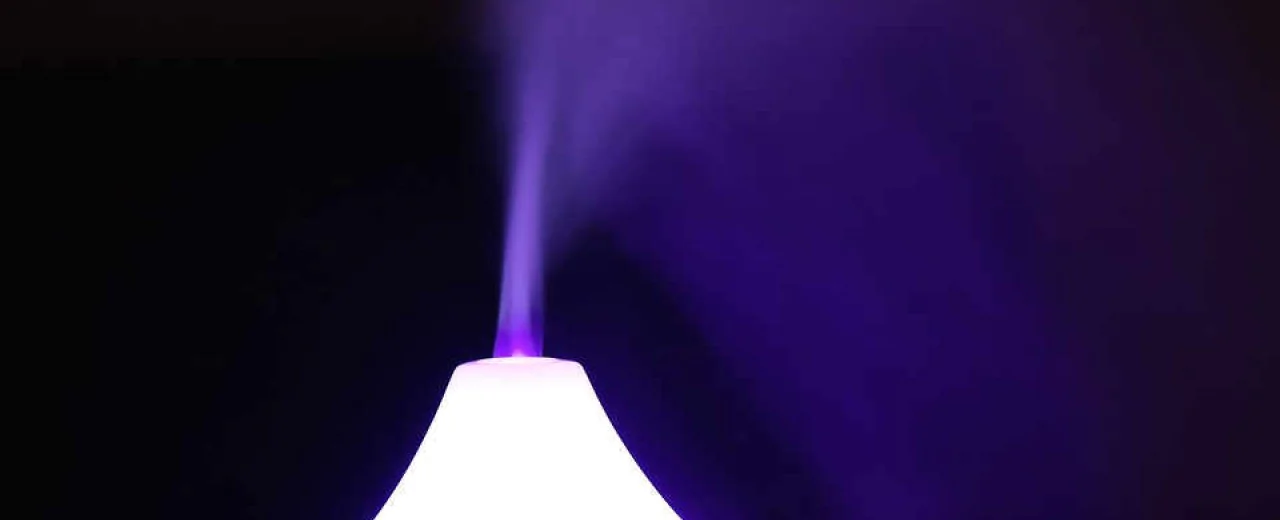 Jak zadbać o czyste powietrze w domu ? 