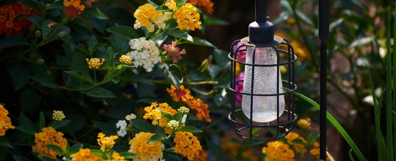 Jak zamontować lampy w ogrodzie?