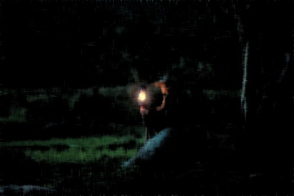 Oświetlenie ogrodowe – na co zwrócić uwagę?