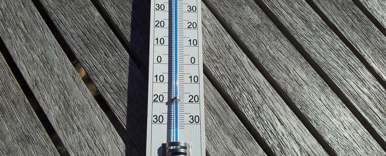 Regulatory temperatury- zastosowanie